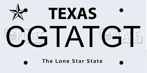 CGTATGT Texas License Plate