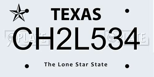 CH2L534 Texas License Plate