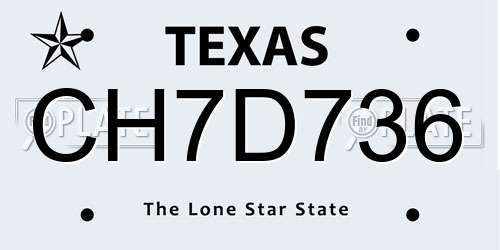 CH7D736 Texas License Plate