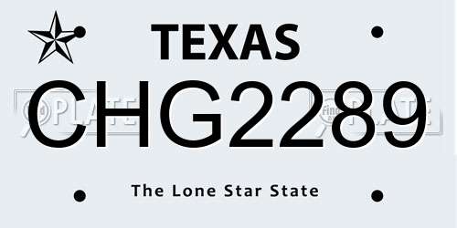 CHG2289 Texas License Plate