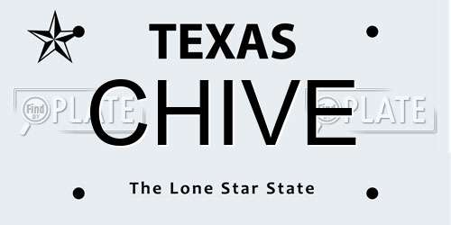 CHIVE Texas License Plate