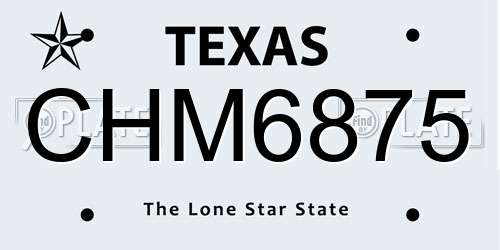 CHM6875 Texas License Plate