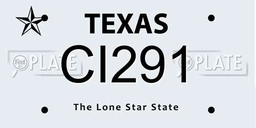 CI291 Texas License Plate