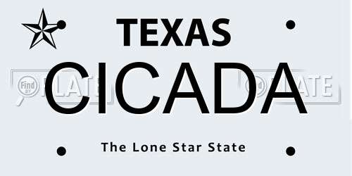 CICADA Texas License Plate