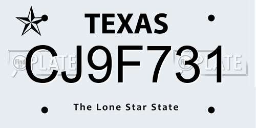 CJ9F731 Texas License Plate