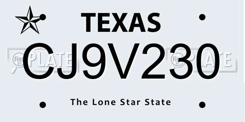 CJ9V230 Texas License Plate