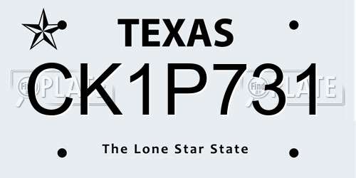 CK1P731 Texas License Plate