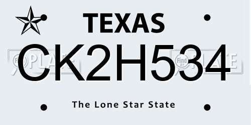 CK2H534 Texas License Plate