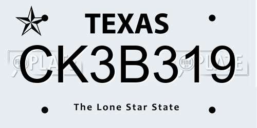 CK3B319 Texas License Plate