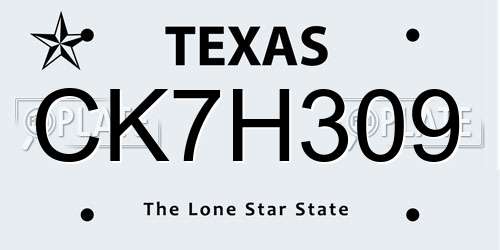 CK7H309 Texas License Plate