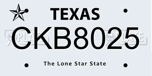 CKB8025 Texas License Plate