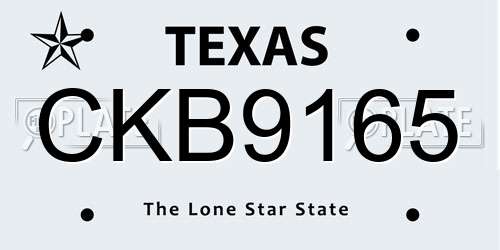 CKB9165 Texas License Plate