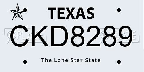 CKD8289 Texas License Plate