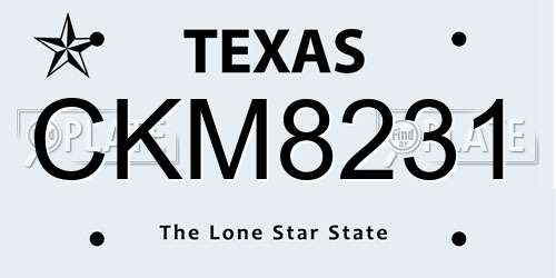 CKM8231 Texas License Plate