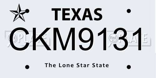 CKM9131 Texas License Plate