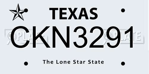 CKN3291 Texas License Plate
