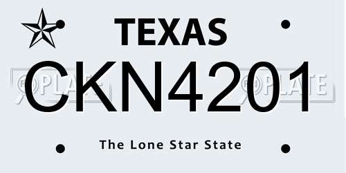 CKN4201 Texas License Plate