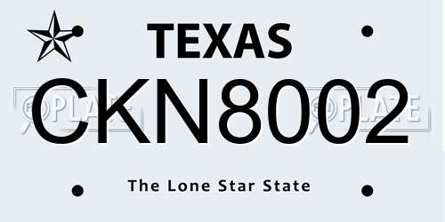CKN8002 Texas License Plate