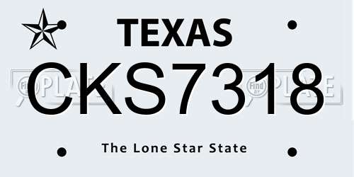 CKS7318 Texas License Plate