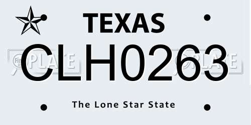 CLH0263 Texas License Plate