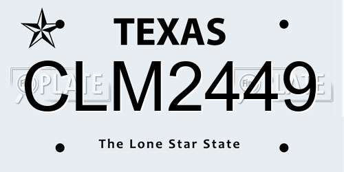 CLM2449 Texas License Plate