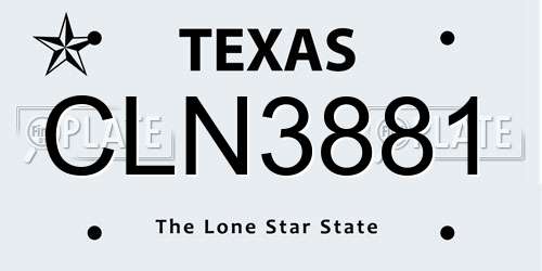 CLN3881 Texas License Plate