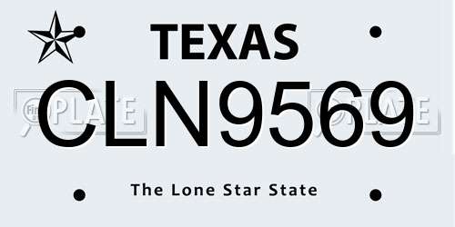 CLN9569 Texas License Plate