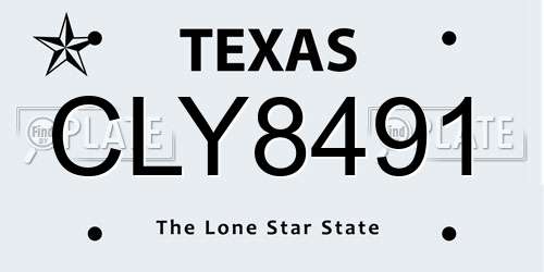 CLY8491 Texas License Plate