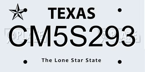 CM5S293 Texas License Plate