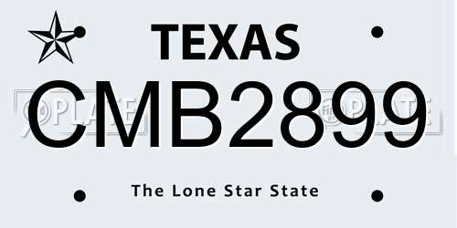 CMB2899 Texas License Plate
