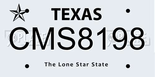 CMS8198 Texas License Plate