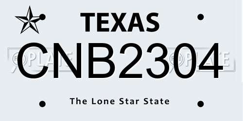 CNB2304 Texas License Plate