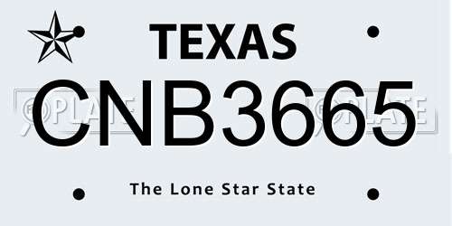 CNB3665 Texas License Plate