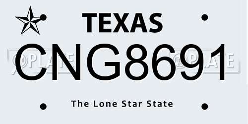 CNG8691 Texas License Plate
