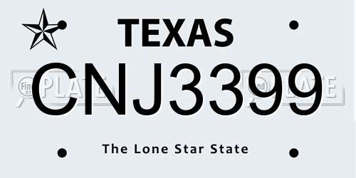 CNJ3399 Texas License Plate