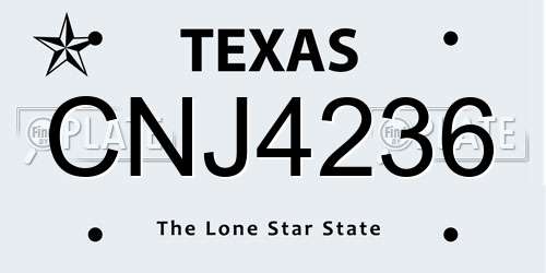 CNJ4236 Texas License Plate