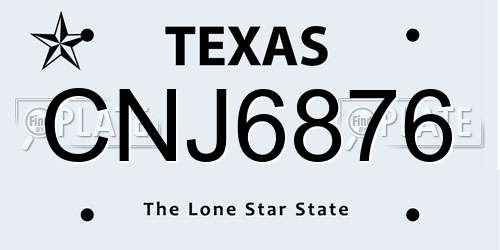 CNJ6876 Texas License Plate