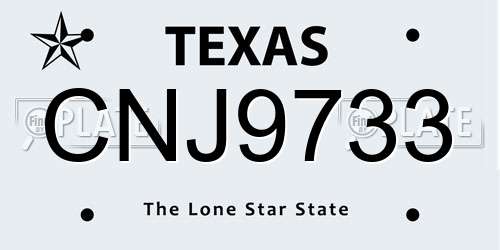 CNJ9733 Texas License Plate