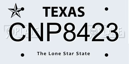 CNP8423 Texas License Plate
