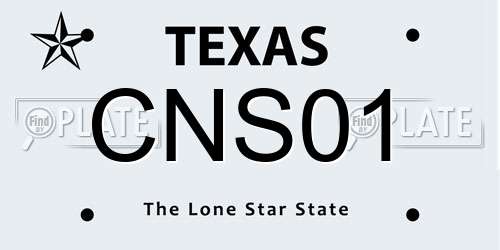 CNS01 Texas License Plate