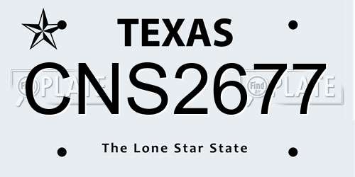 CNS2677 Texas License Plate