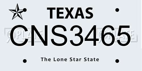 CNS3465 Texas License Plate