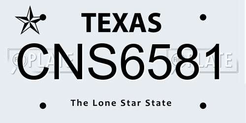 CNS6581 Texas License Plate