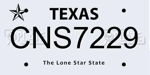 CNS7229 Texas License Plate