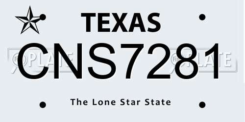 CNS7281 Texas License Plate