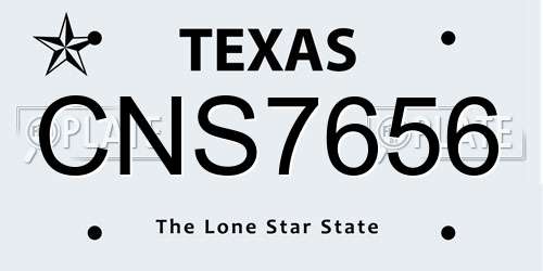 CNS7656 Texas License Plate
