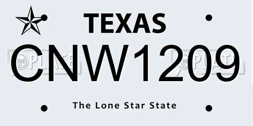 CNW1209 Texas License Plate