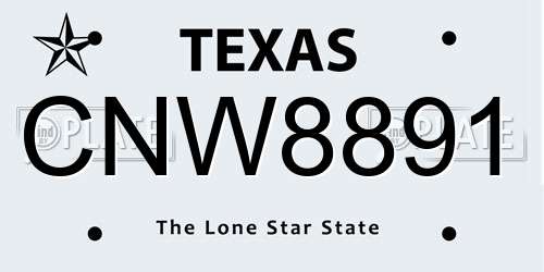 CNW8891 Texas License Plate