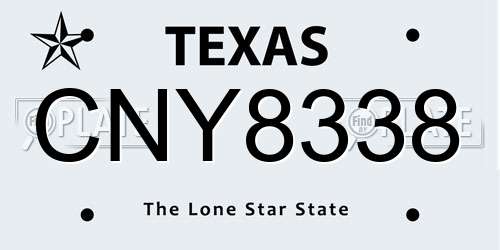 CNY8338 Texas License Plate