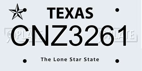 CNZ3261 Texas License Plate